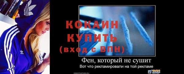 ПСИЛОЦИБИНОВЫЕ ГРИБЫ Ладушкин