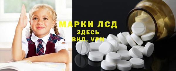 мдпв Лагань
